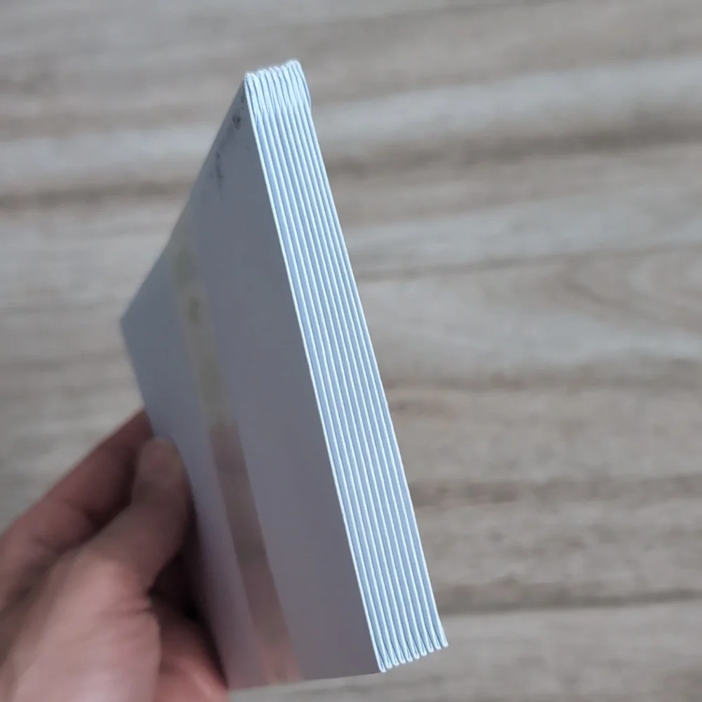 NWT Paper Source A2 Envelopes